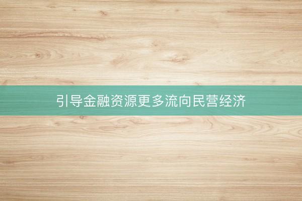 引导金融资源更多流向民营经济