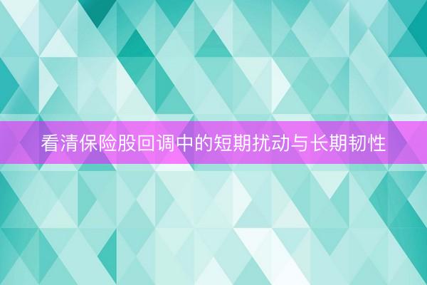 看清保险股回调中的短期扰动与长期韧性