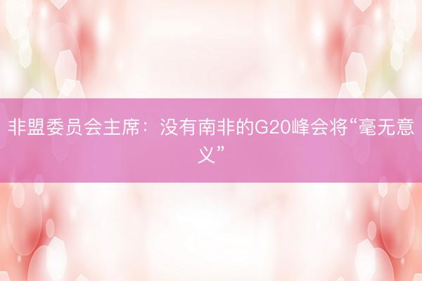 非盟委员会主席：没有南非的G20峰会将“毫无意义”