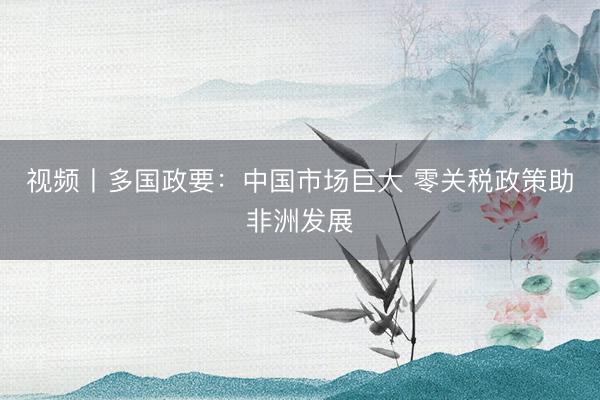 视频丨多国政要：中国市场巨大 零关税政策助非洲发展