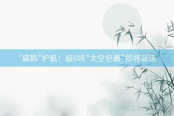“扁鹊”护航！超6吨“太空包裹”即将派送