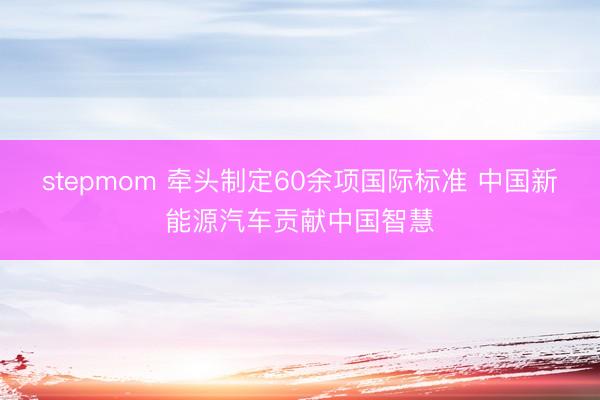 stepmom 牵头制定60余项国际标准 中国新能源汽车贡献中国智慧