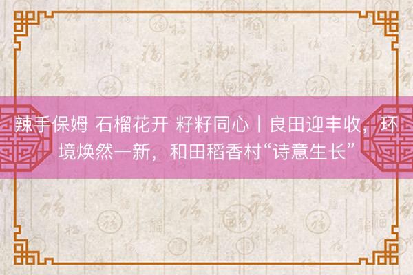 辣手保姆 石榴花开 籽籽同心丨良田迎丰收，环境焕然一新，和田稻香村“诗意生长”