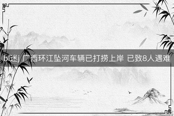 bl迷j 广西环江坠河车辆已打捞上岸 已致8人遇难