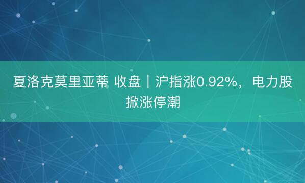 夏洛克莫里亚蒂 收盘｜沪指涨0.92%，电力股掀涨停潮