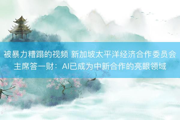 被暴力糟蹋的视频 新加坡太平洋经济合作委员会主席答一财：AI已成为中新合作的亮眼领域