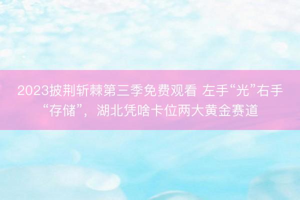2023披荆斩棘第三季免费观看 左手“光”右手“存储”，湖北凭啥卡位两大黄金赛道
