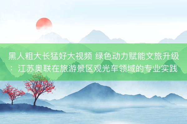 黑人粗大长猛好大视频 绿色动力赋能文旅升级:江苏奥联在旅游景区观光车领域的专业实践