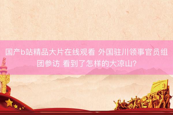 国产b站精品大片在线观看 外国驻川领事官员组团参访 看到了怎样的大凉山？