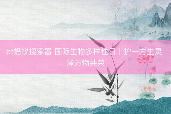 bt蚂蚁搜索器 国际生物多样性日丨护一方生灵 泽万物共荣
