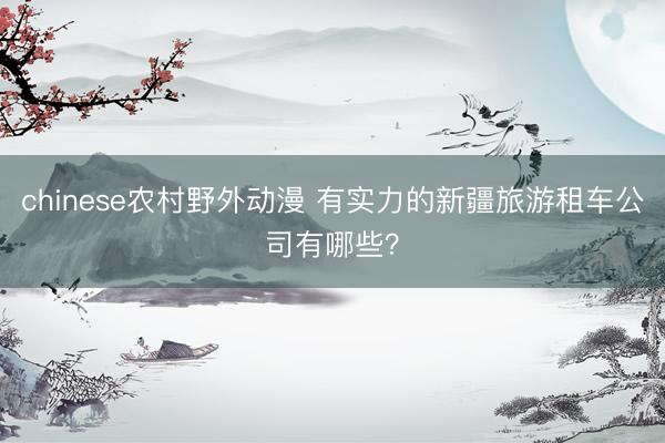 chinese农村野外动漫 有实力的新疆旅游租车公司有哪些？