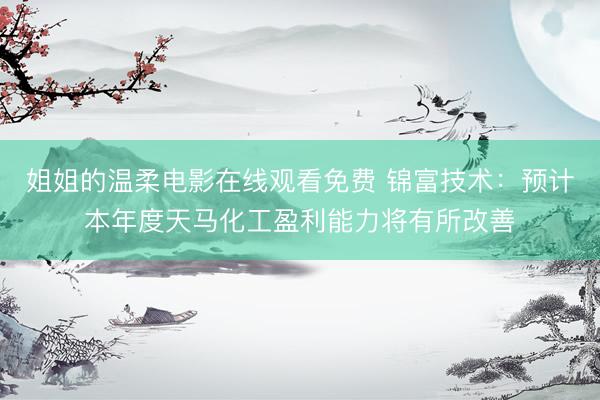 姐姐的温柔电影在线观看免费 锦富技术：预计本年度天马化工盈利能力将有所改善