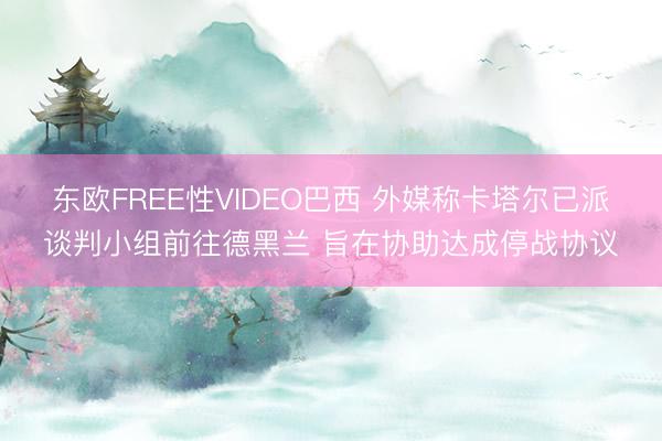 东欧FREE性VIDEO巴西 外媒称卡塔尔已派谈判小组前往德黑兰 旨在协助达成停战协议