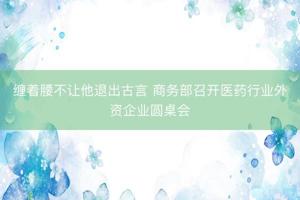 缠着腰不让他退出古言 商务部召开医药行业外资企业圆桌会