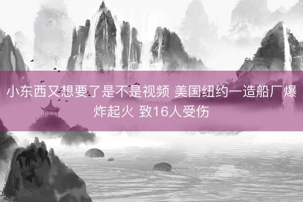 小东西又想要了是不是视频 美国纽约一造船厂爆炸起火 致16人受伤
