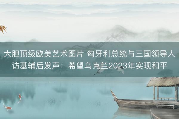 大胆顶级欧美艺术图片 匈牙利总统与三国领导人访基辅后发声：希望乌克兰2023年实现和平