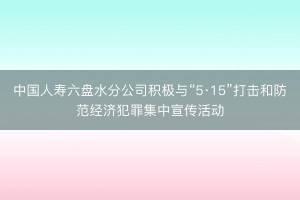 中国人寿六盘水分公司积极与“5·15”打击和防范经济犯罪集中宣传活动