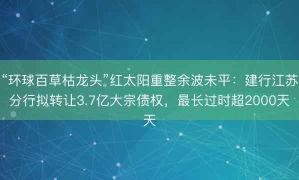“环球百草枯龙头”红太阳重整余波未平：建行江苏分行拟转让3.7亿大宗债权，最长过时超2000天