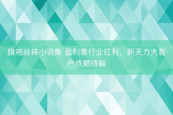 旗袍丝袜小说集 盈利靠行业红利，新天力大客户依赖待解