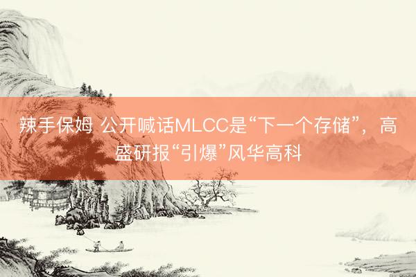 辣手保姆 公开喊话MLCC是“下一个存储”，高盛研报“引爆”风华高科