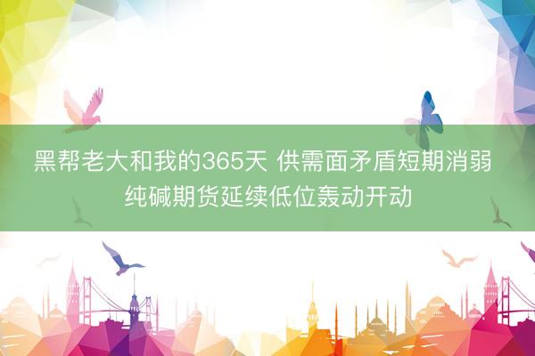 黑帮老大和我的365天 供需面矛盾短期消弱 纯碱期货延续低位轰动开动