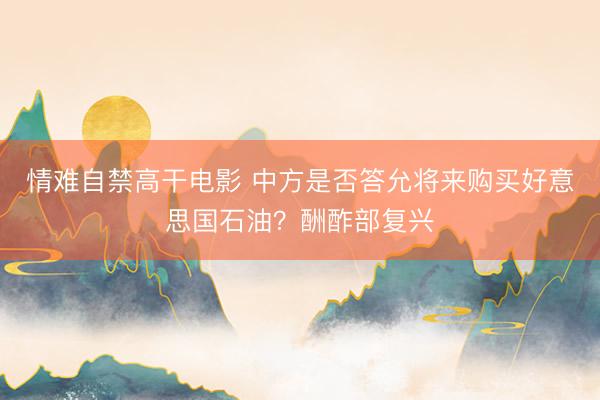 情难自禁高干电影 中方是否答允将来购买好意思国石油？酬酢部复兴