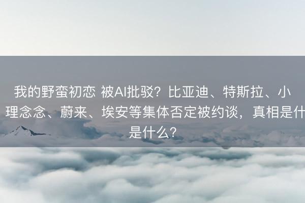 我的野蛮初恋 被AI批驳？比亚迪、特斯拉、小鹏、理念念、蔚来、埃安等集体否定被约谈，真相是什么？