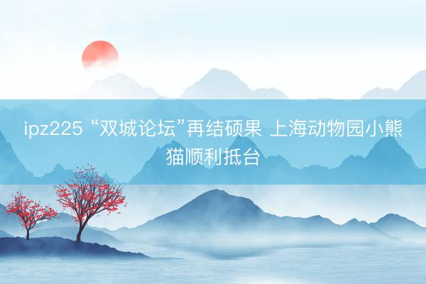 ipz225 “双城论坛”再结硕果 上海动物园小熊猫顺利抵台