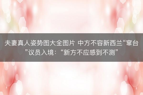 夫妻真人姿势图大全图片 中方不容新西兰“窜台”议员入境：“新方不应感到不测”