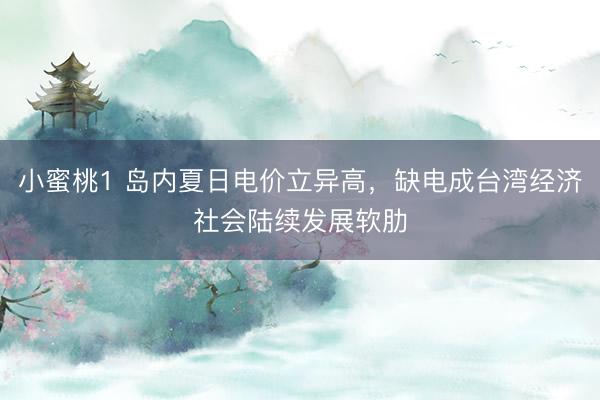 小蜜桃1 岛内夏日电价立异高,缺电成台湾经济社会陆续发展软肋