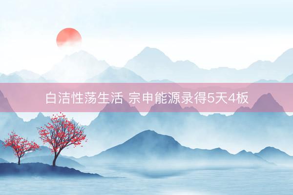 白洁性荡生活 宗申能源录得5天4板