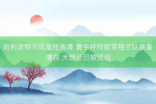 哈利波特与凤凰社高清 寰宇杯技能英格兰队装备遭窃 大部分已被追回