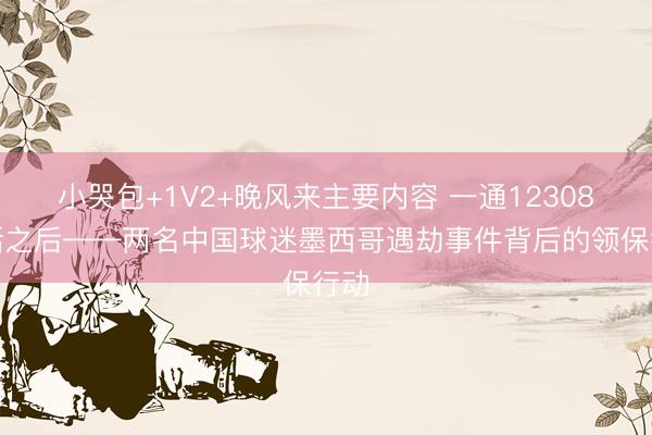 小哭包+1V2+晚风来主要内容 一通12308电话之后——两名中国球迷墨西哥遇劫事件背后的领保行动