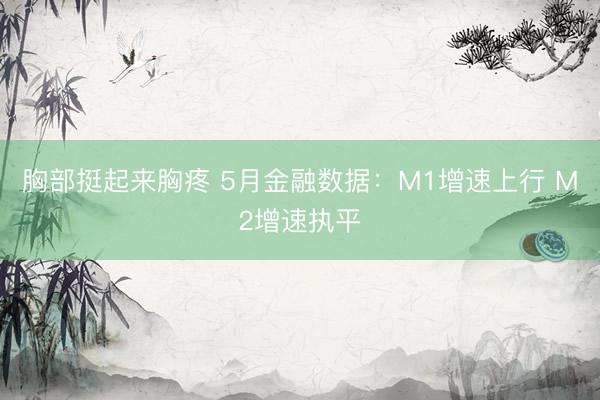 胸部挺起来胸疼 5月金融数据：M1增速上行 M2增速执平