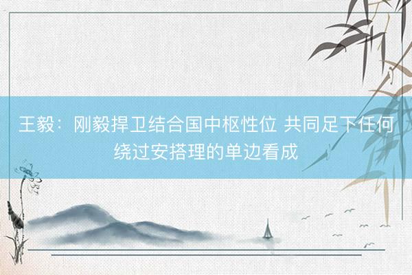 王毅:刚毅捍卫结合国中枢性位 共同足下任何绕过安搭理的单边看成