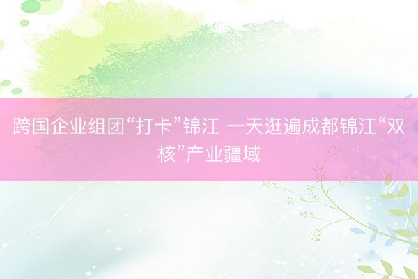 跨国企业组团“打卡”锦江 一天逛遍成都锦江“双核”产业疆域